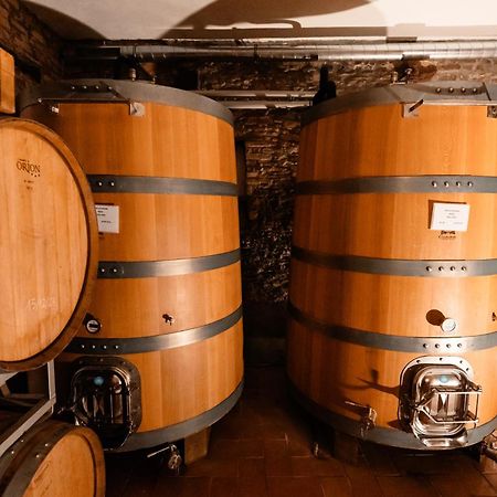 Cadgal - Tenuta La Cova Calamandrana Dış mekan fotoğraf